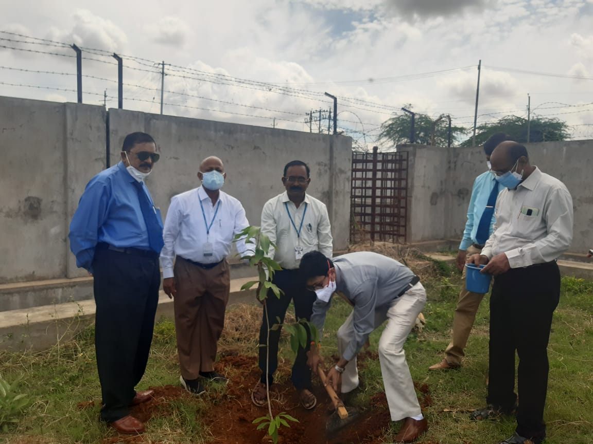 World Environment Day celebrated in Navodaya Medical College